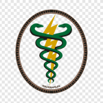 png-transparent-physical-therapy-graphics-encapsulated-postscript-logo-pediatrics-physiotherapie-logo-cdr-logo-logo-vector.png